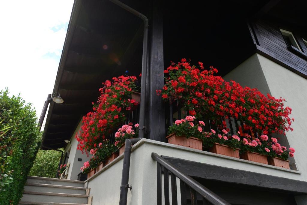 B&B Scotty & Co. Susa Ngoại thất bức ảnh